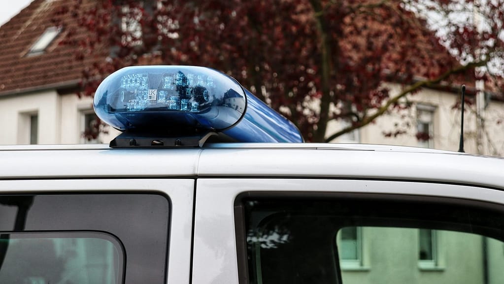 Ilustrativna fotografija policijskog vozila sa uključenim svjetlima